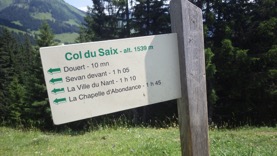 20130726 1504 A CHATEL - Rando Morclan - Col du Saix - WG3