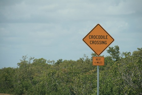 20110531 1218 B FLORIDE - RETOUR - Overseas Hwy - Crocodile Crossing - 400D
