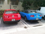 20110523 1553 A FLORIDE - MIAMI - Daddy O Hotel - MUSTANG - iPhone.jpg